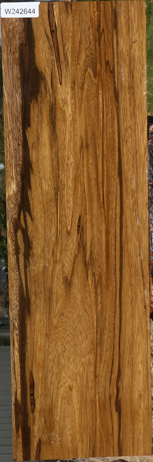 Figured Branquilho Lumber