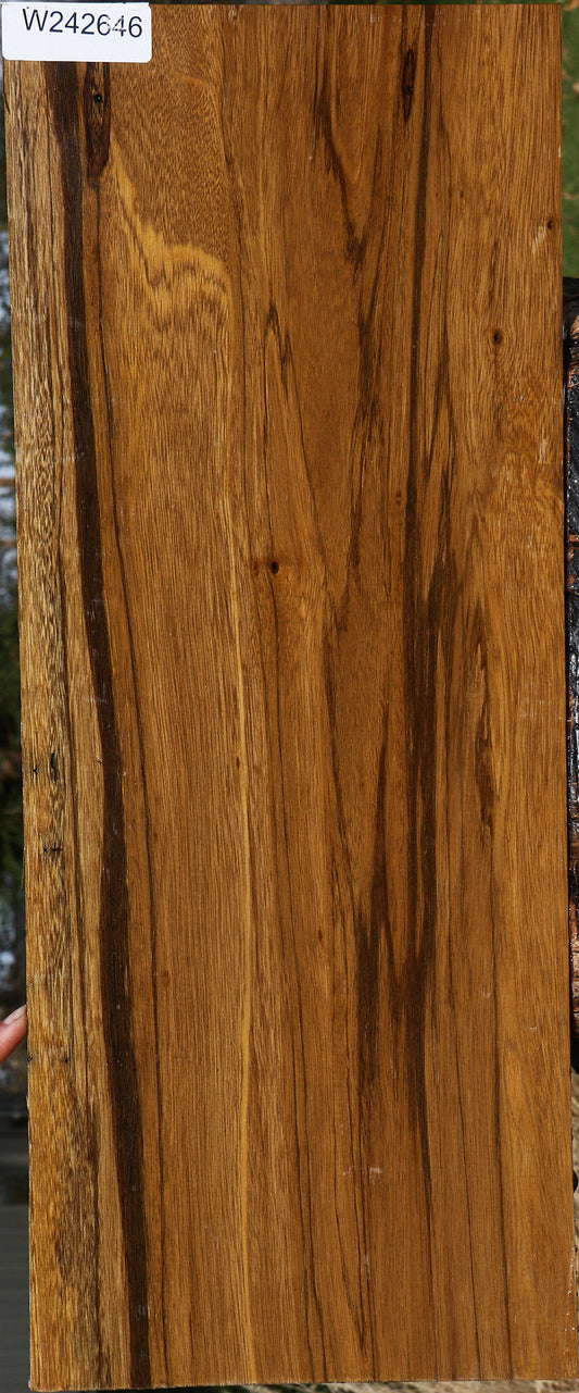 Figured Branquilho Lumber