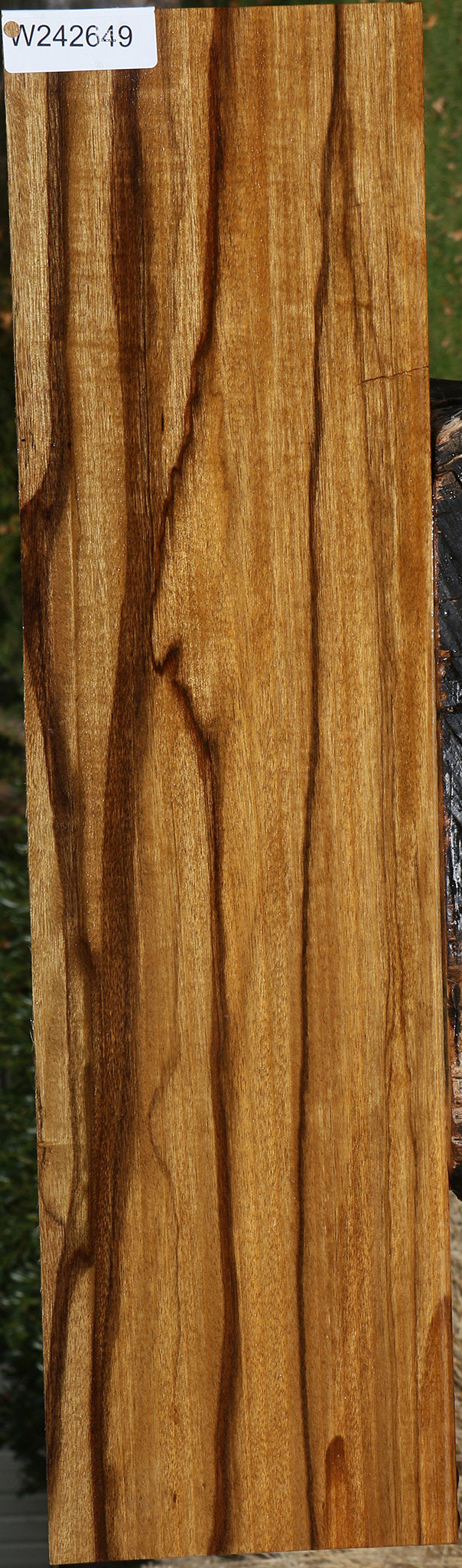 Figured Branquilho Lumber