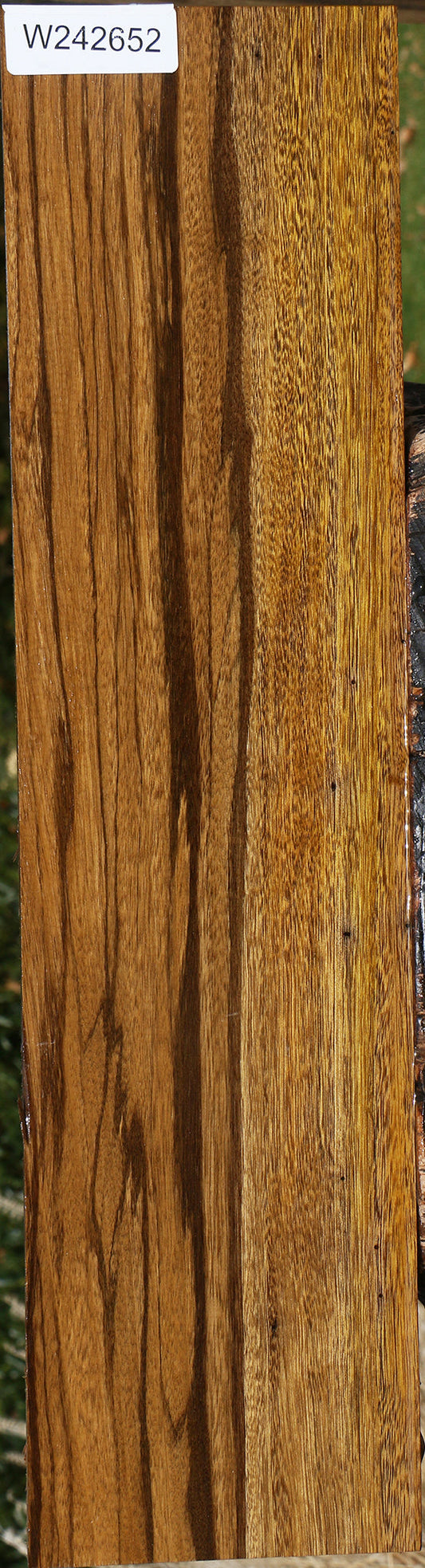 Figured Branquilho Lumber