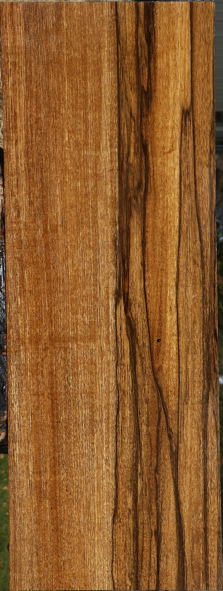 Figured Branquilho Lumber