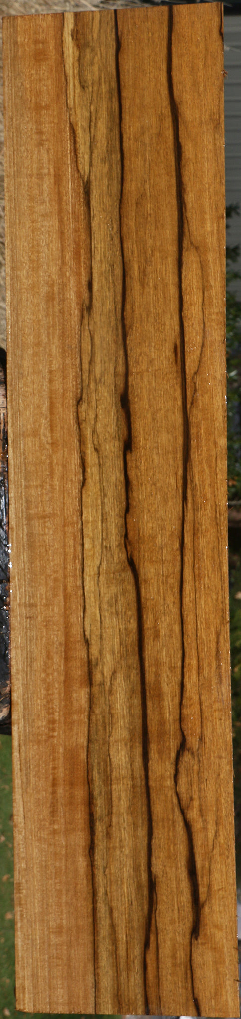 Figured Branquilho Lumber