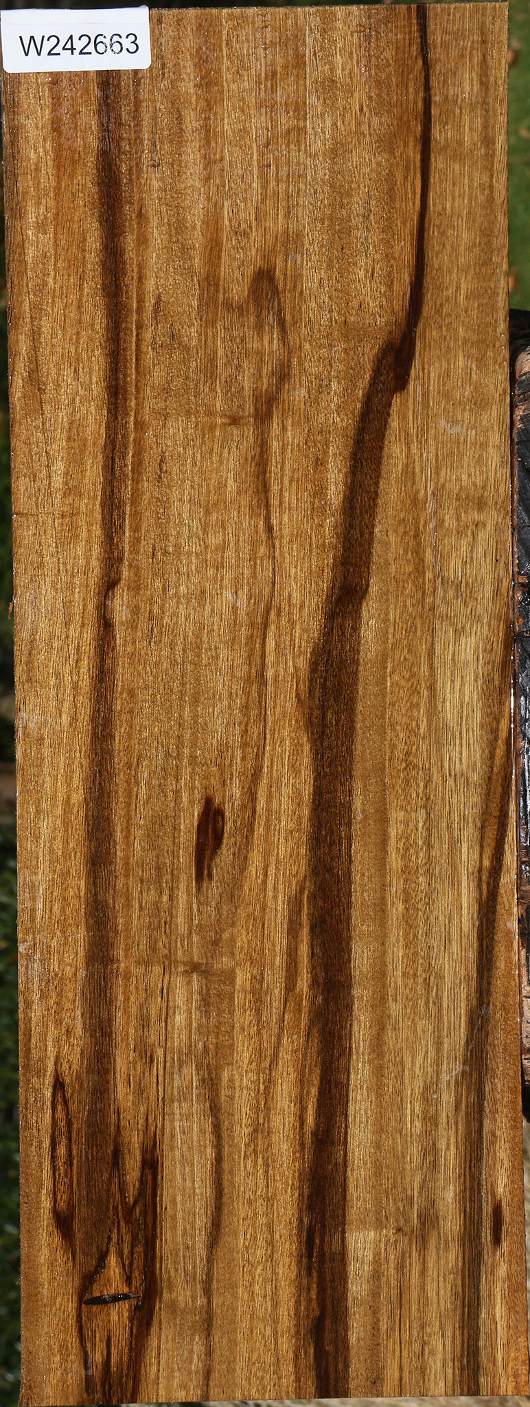 Figured Branquilho Lumber