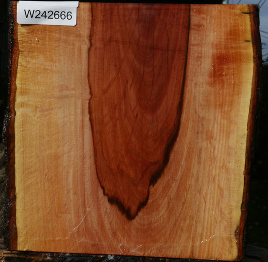 Figured Beefwood Live Edge Bowl Blank