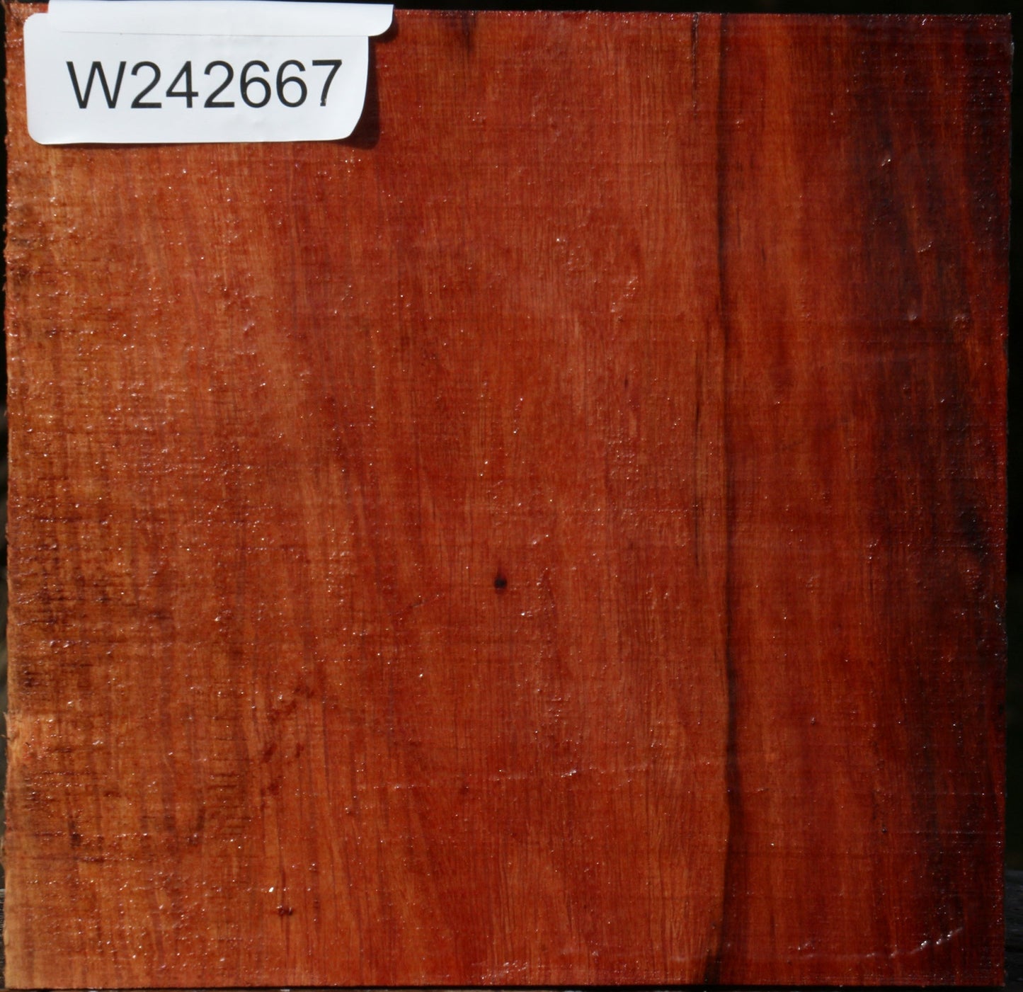 Extra Fancy Beefwood Bowl Blank