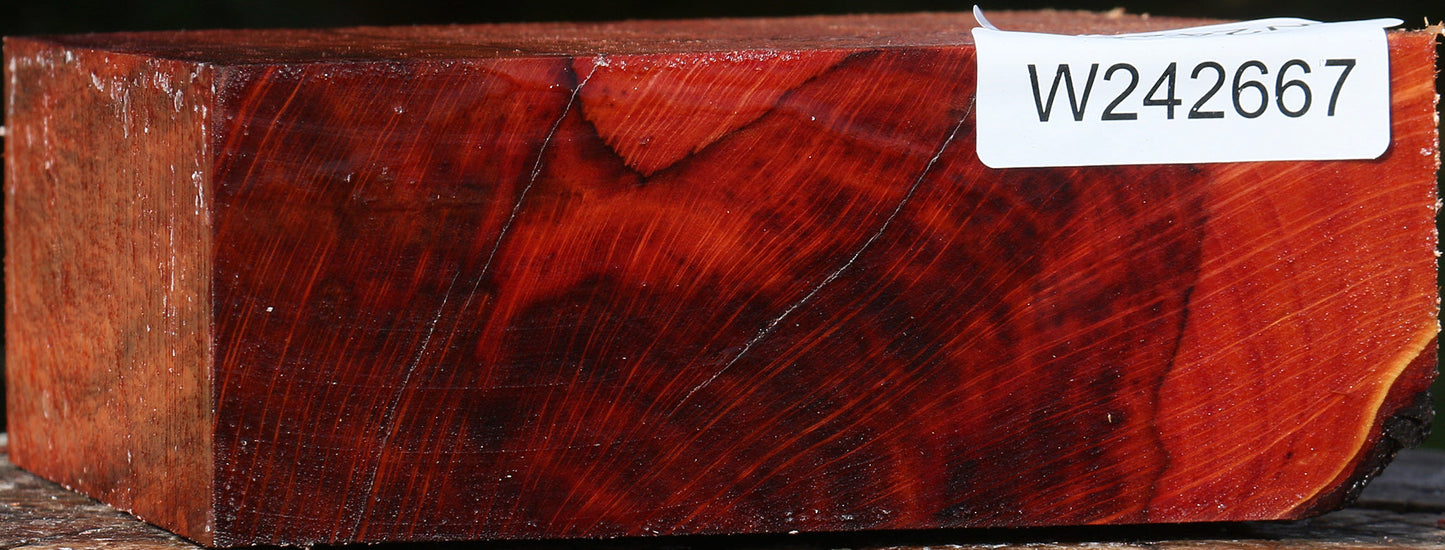 Extra Fancy Beefwood Bowl Blank