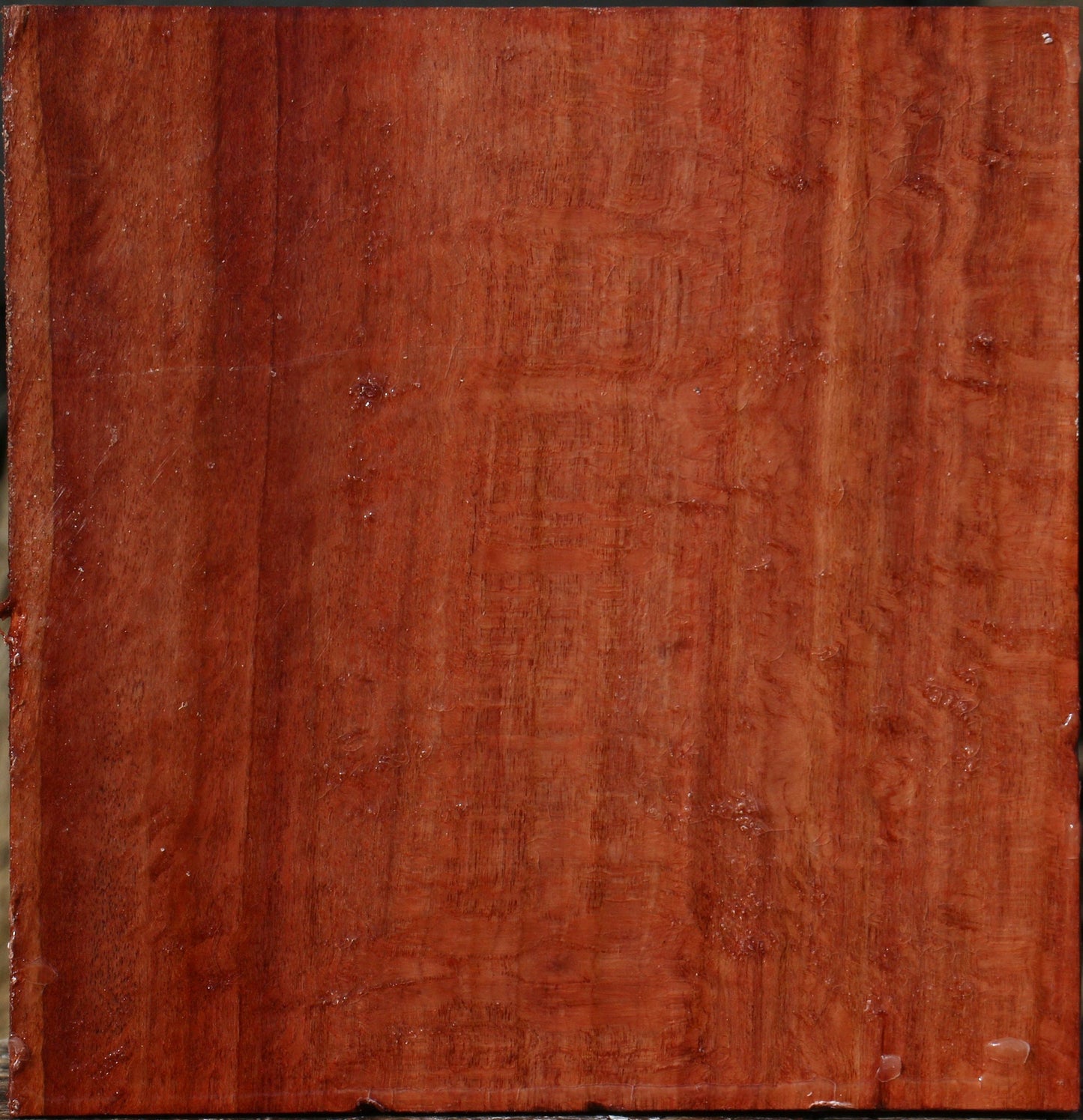 Figured Beefwood Bowl Blank