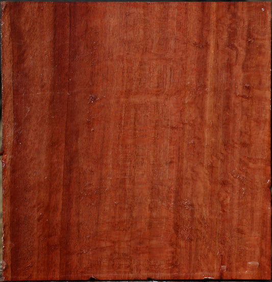 Figured Beefwood Bowl Blank