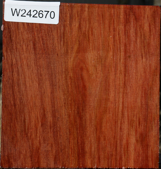 Figured Beefwood Bowl Blank