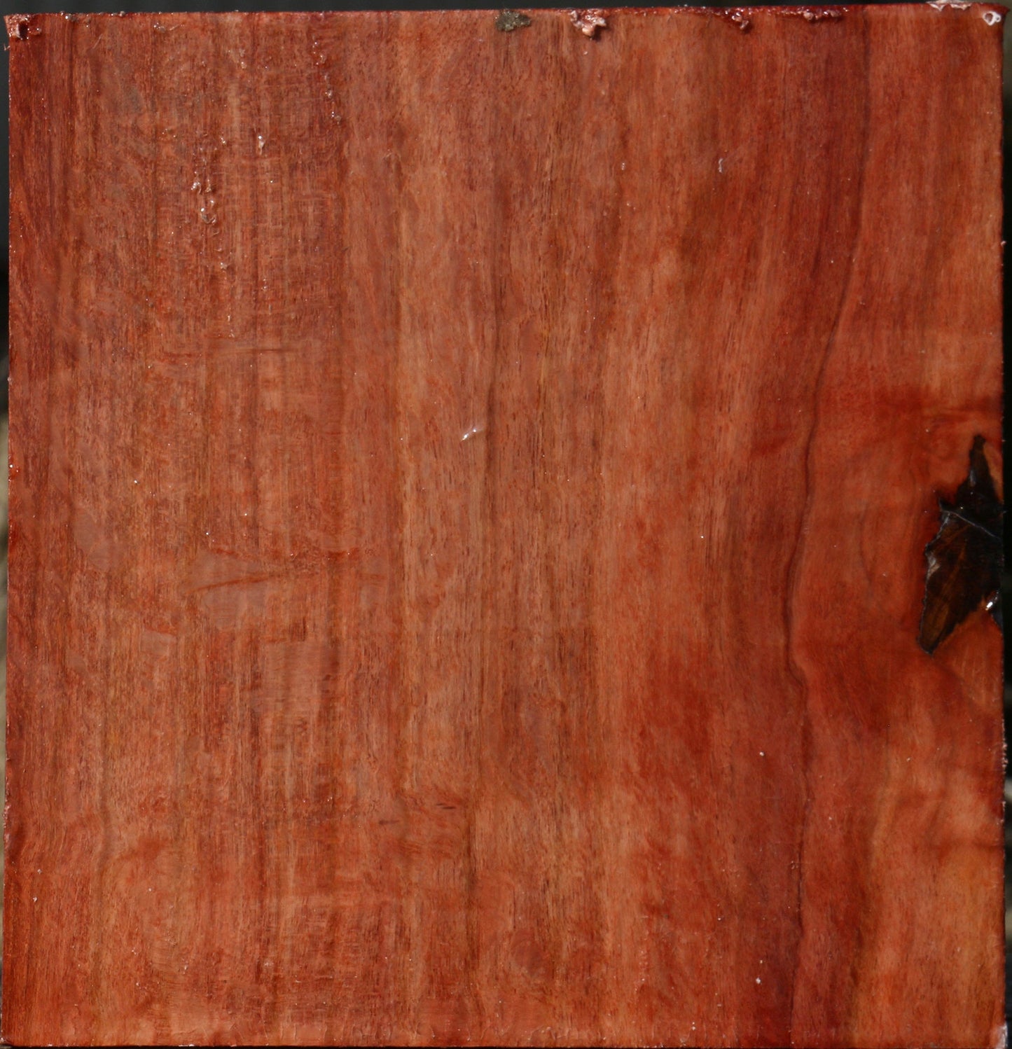 Figured Beefwood Bowl Blank