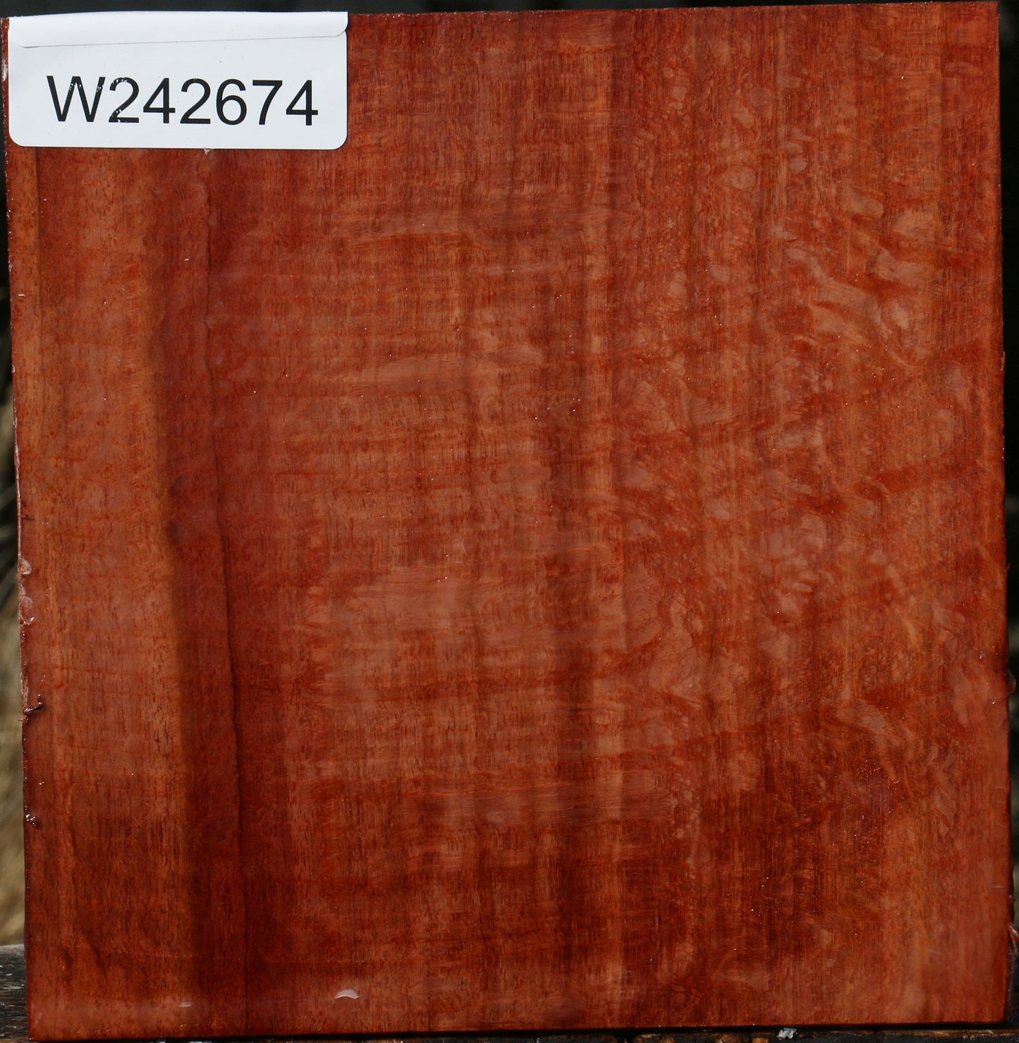 Figured Beefwood Bowl Blank