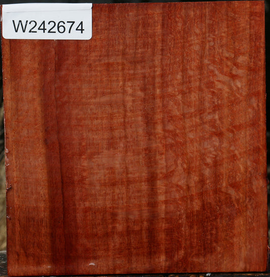 Figured Beefwood Bowl Blank