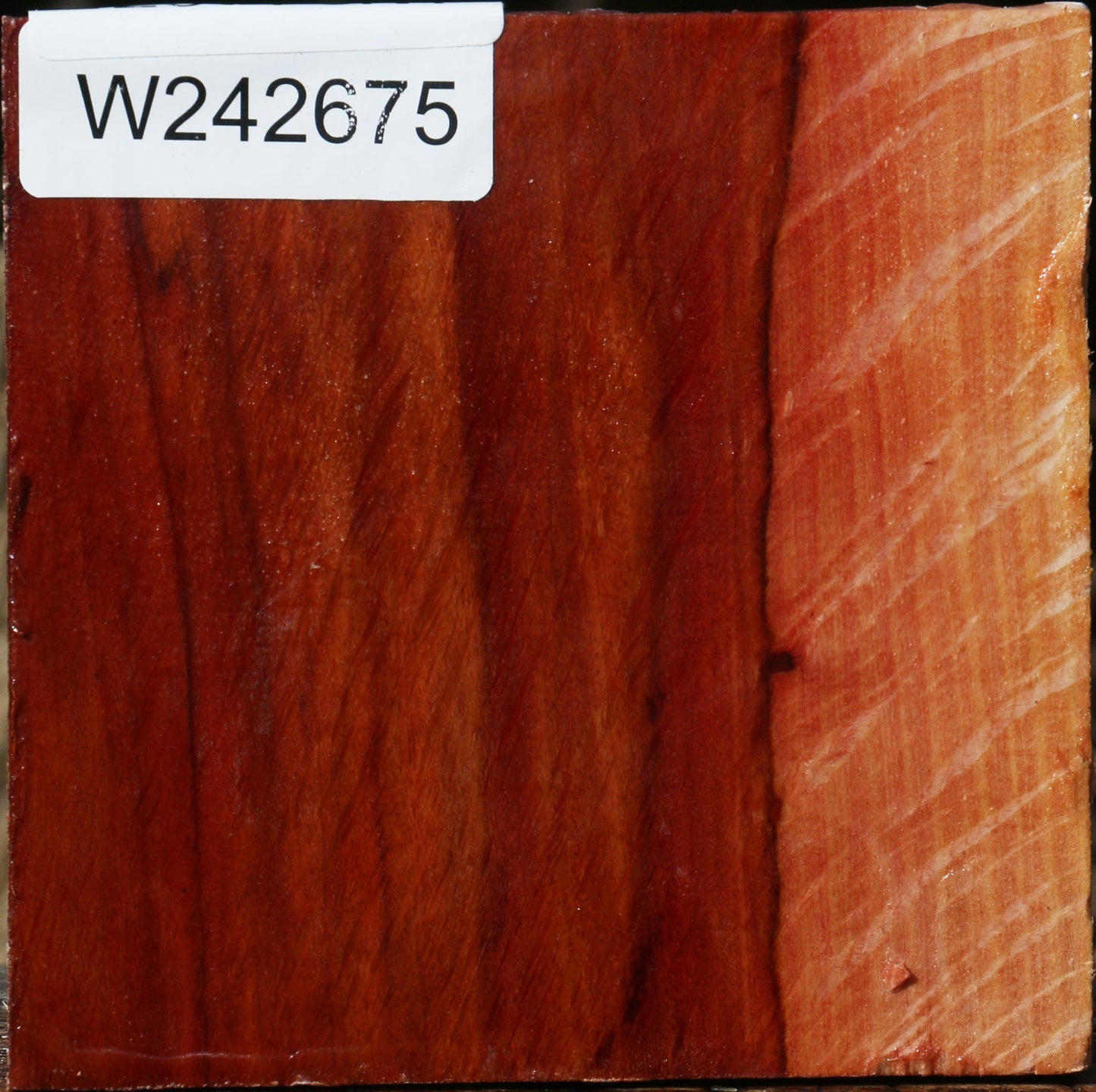 Figured Beefwood Bowl Blank