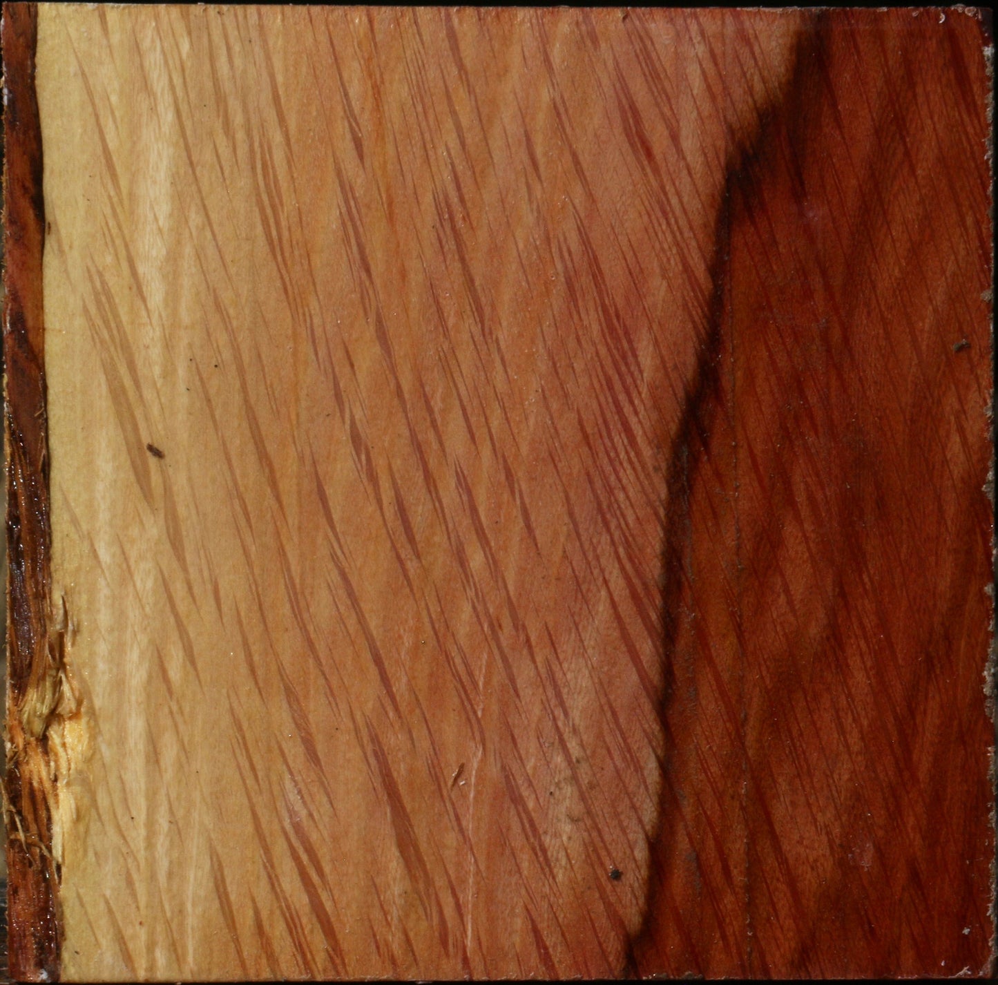 Figured Beefwood Bowl Blank