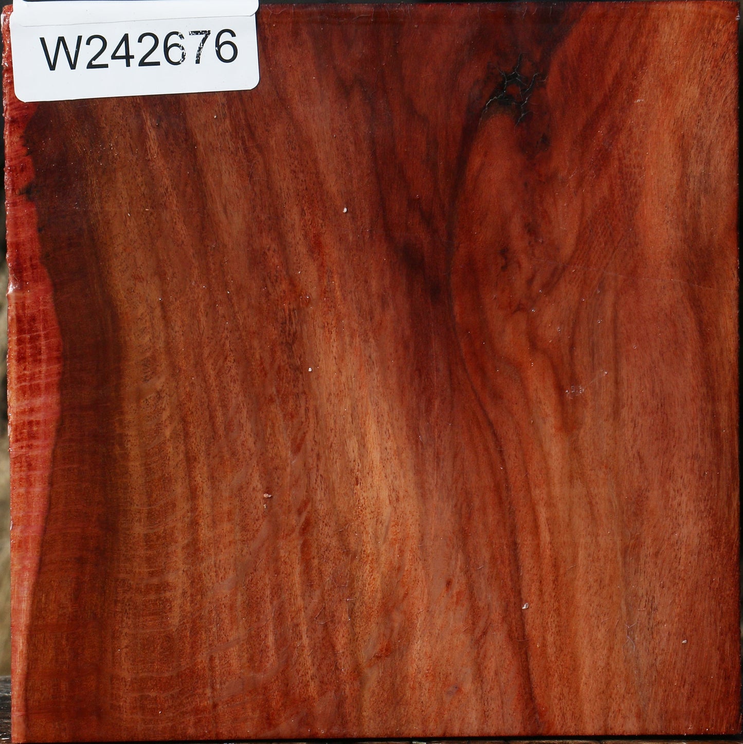 Figured Beefwood Bowl Blank