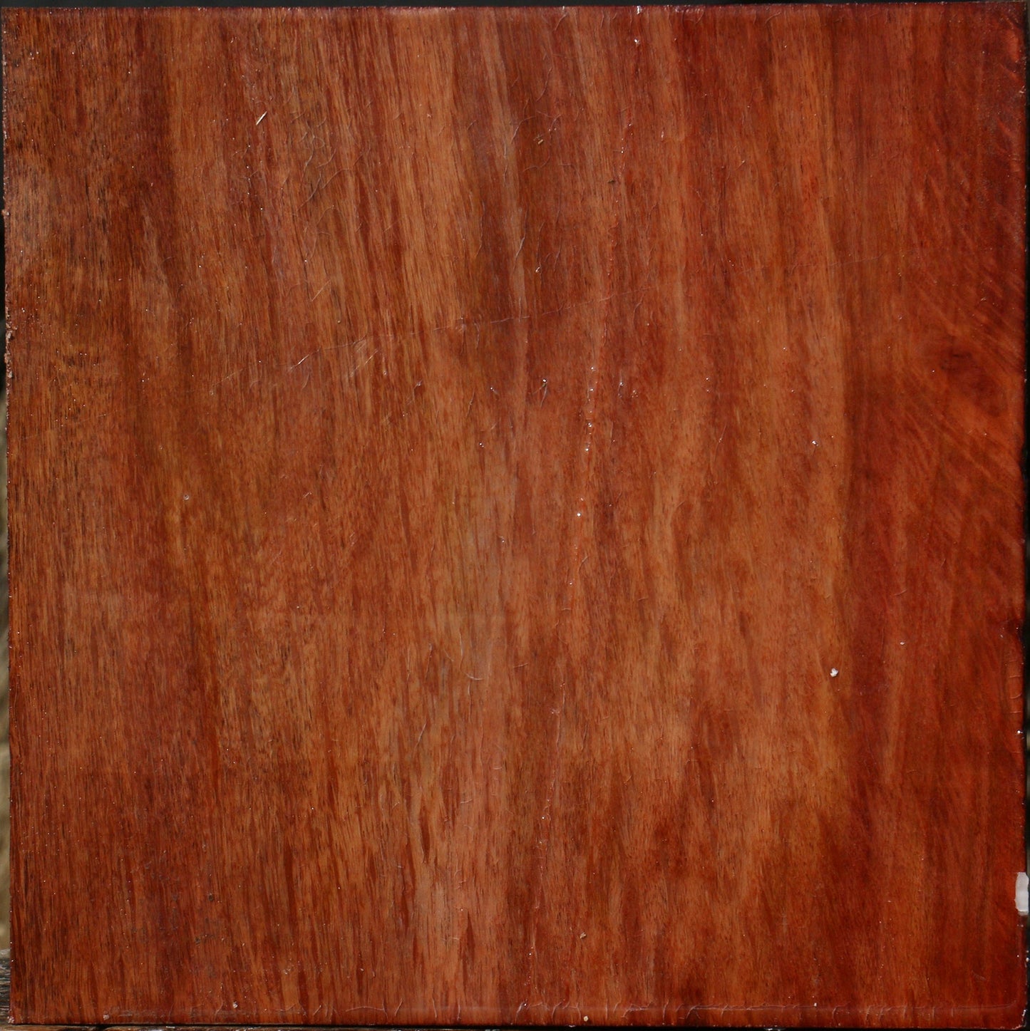 Figured Beefwood Bowl Blank