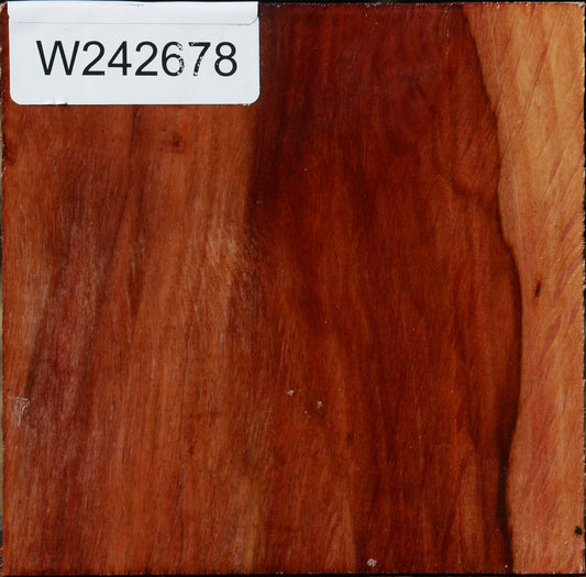 Figured Beefwood Bowl Blank