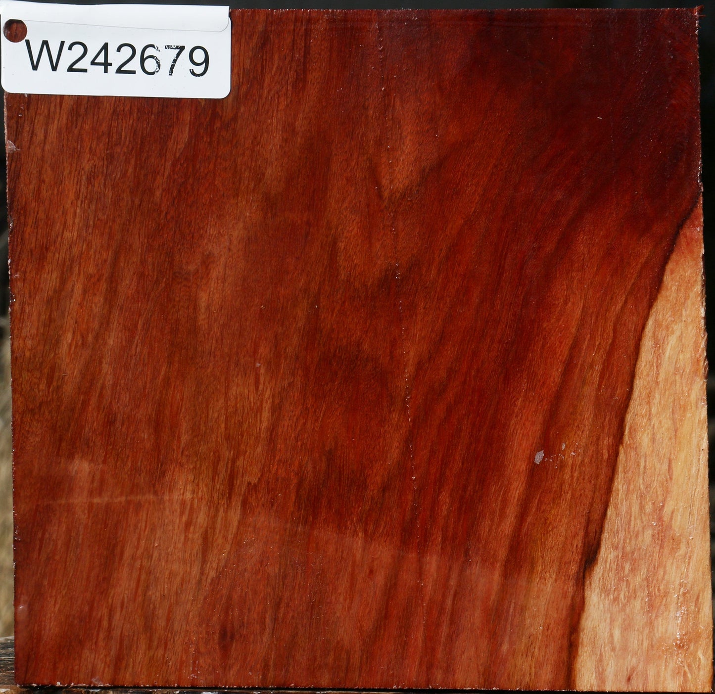 Figured Beefwood Bowl Blank