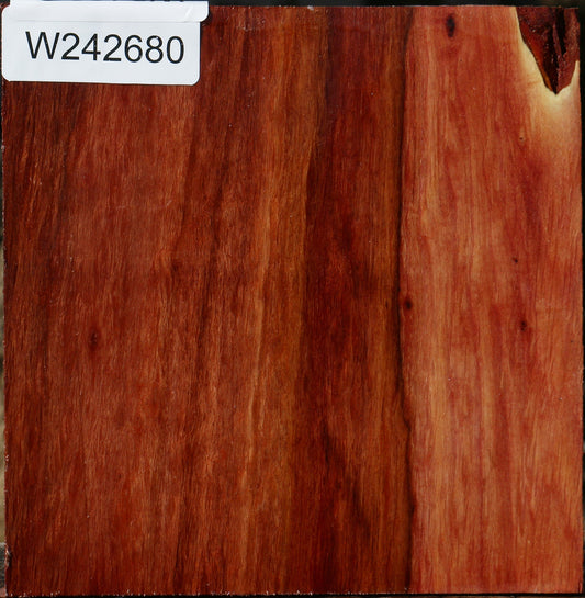 Extra Fancy Beefwood Bowl Blank