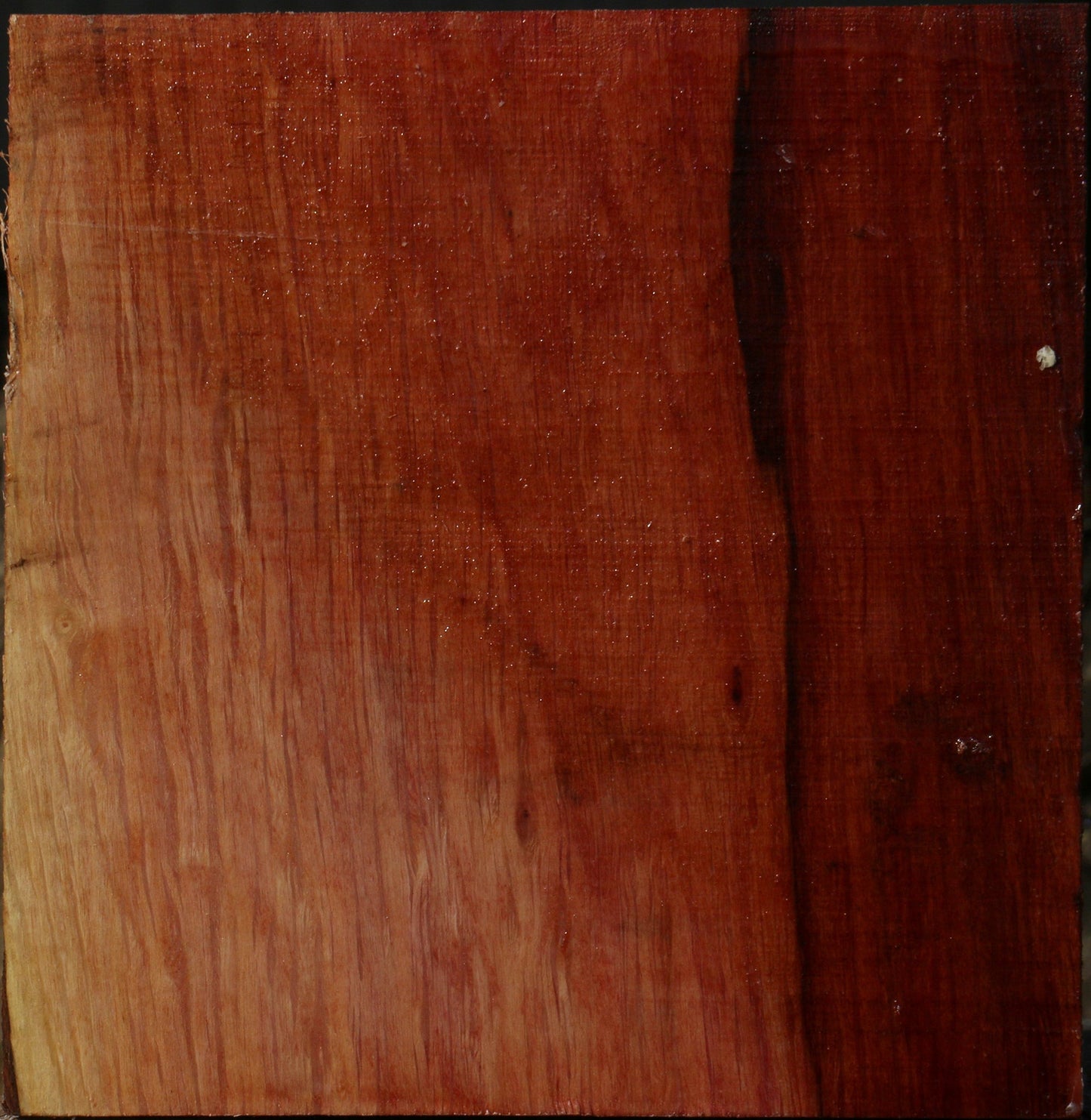 Extra Fancy Beefwood Bowl Blank