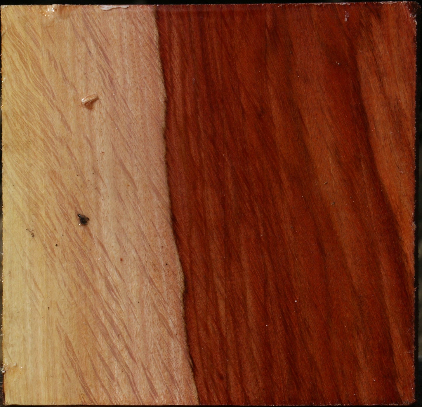 Figured Beefwood Bowl Blank