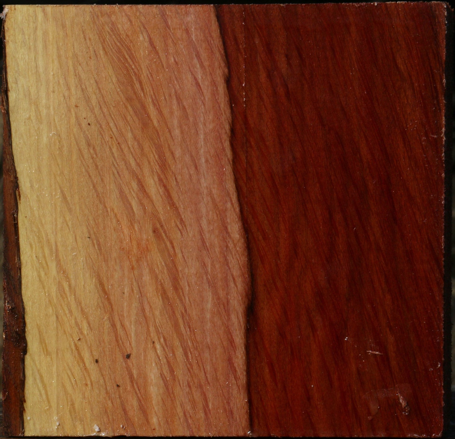 Extra Fancy Beefwood Bowl Blank