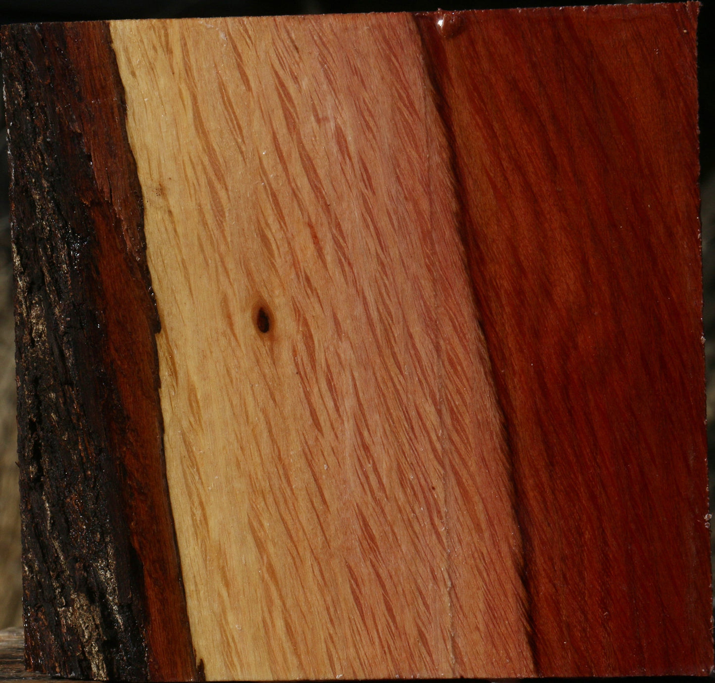 Extra Fancy Beefwood Bowl Blank