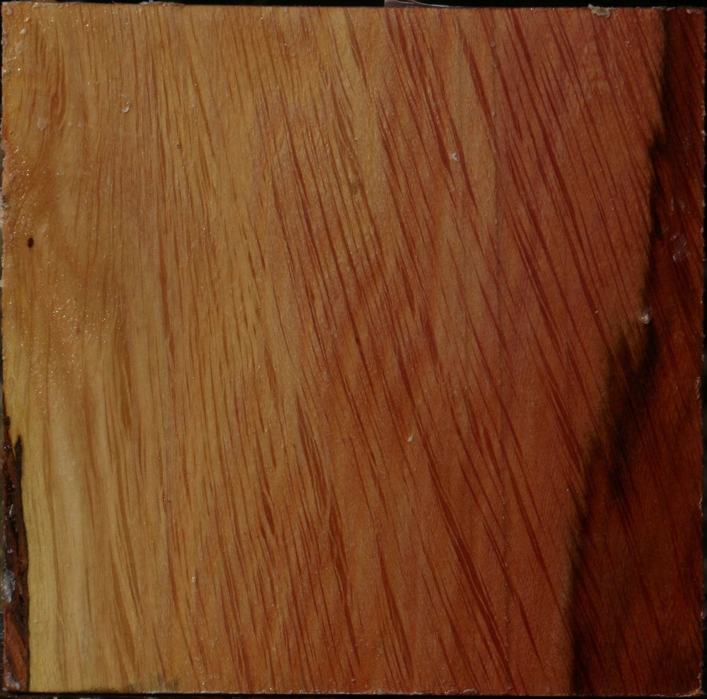 Figured Beefwood Bowl Blank