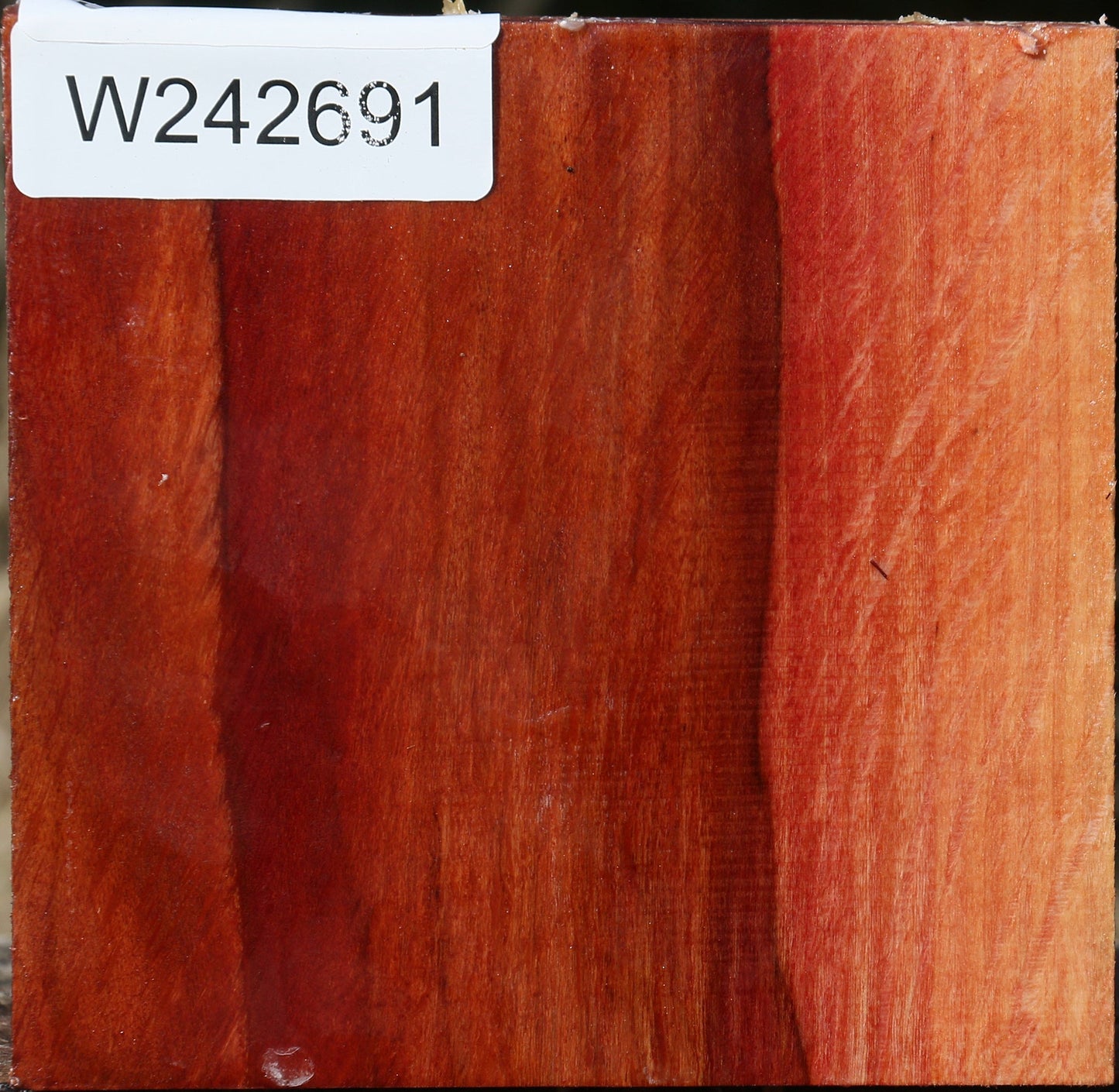 Extra Fancy Beefwood Bowl Blank