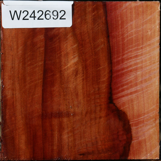 Extra Fancy Beefwood Bowl Blank