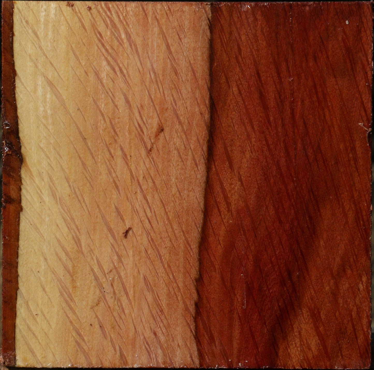 Extra Fancy Beefwood Bowl Blank