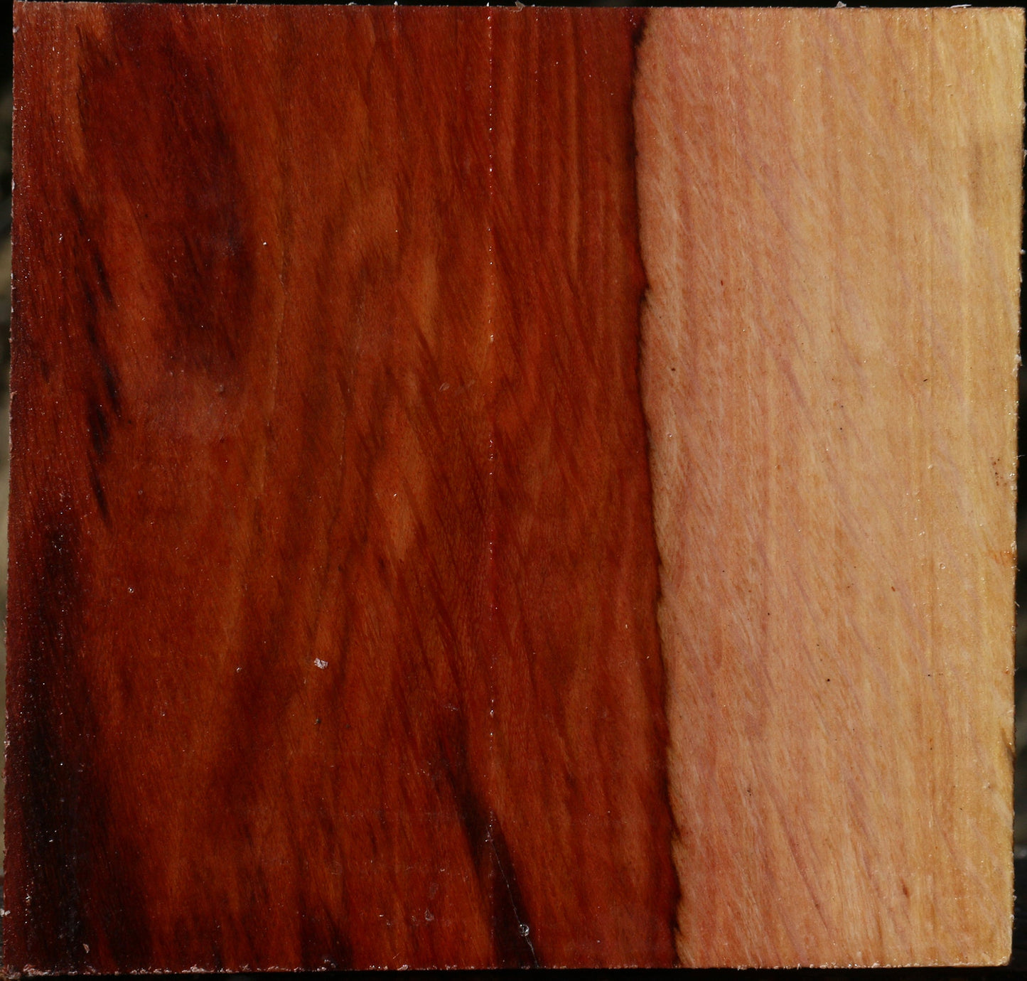 Extra Fancy Beefwood Bowl Blank