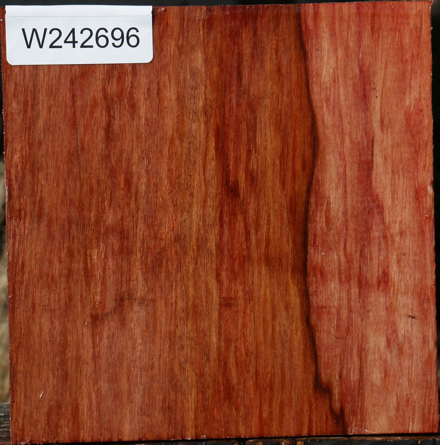 Figured Beefwood Bowl Blank