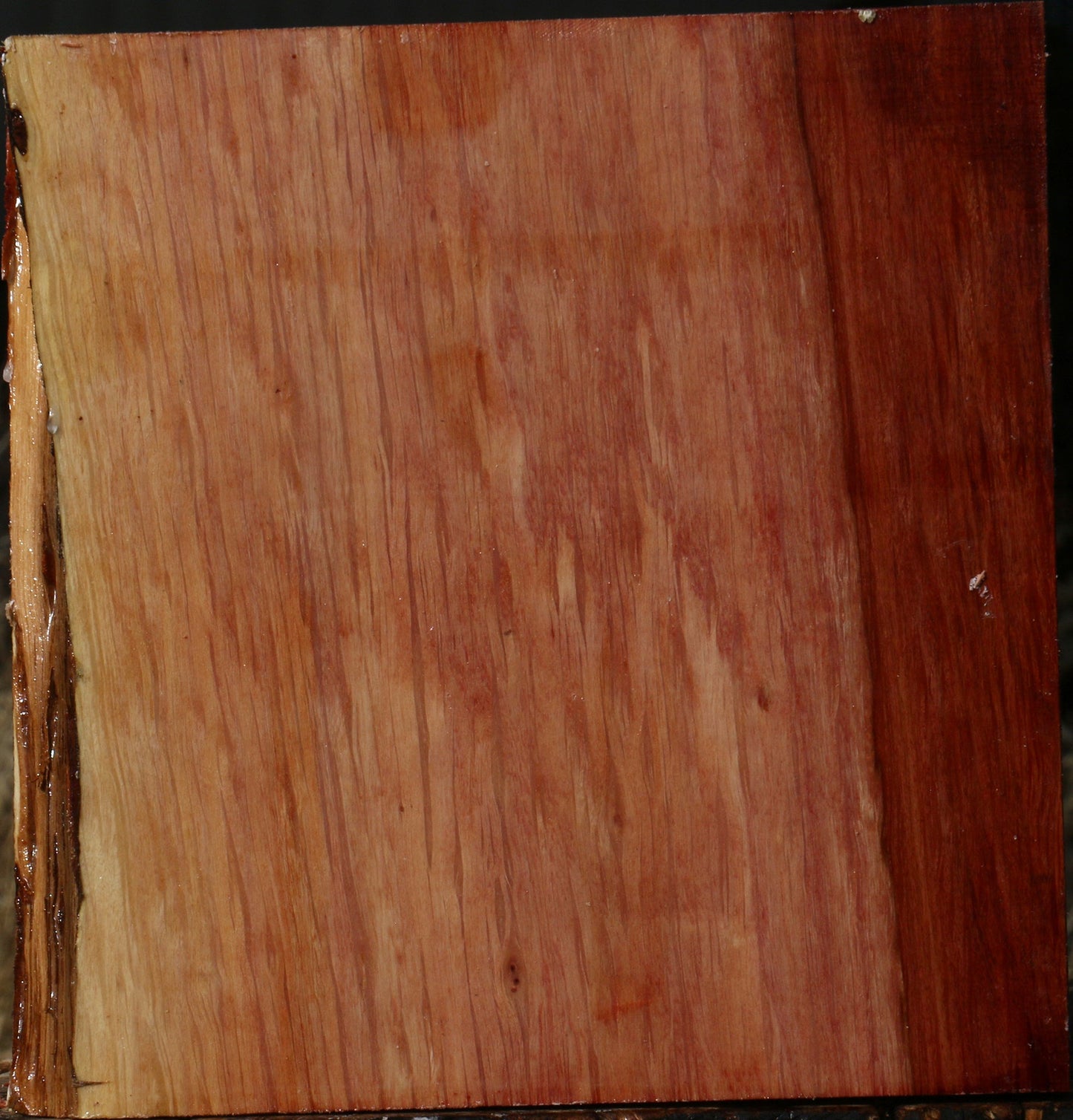 Figured Beefwood Bowl Blank