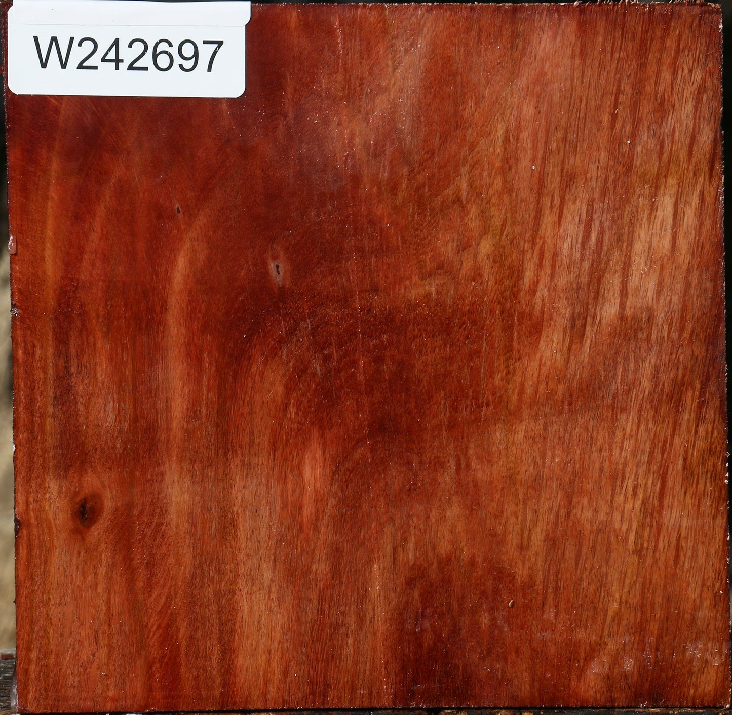 Figured Beefwood Bowl Blank