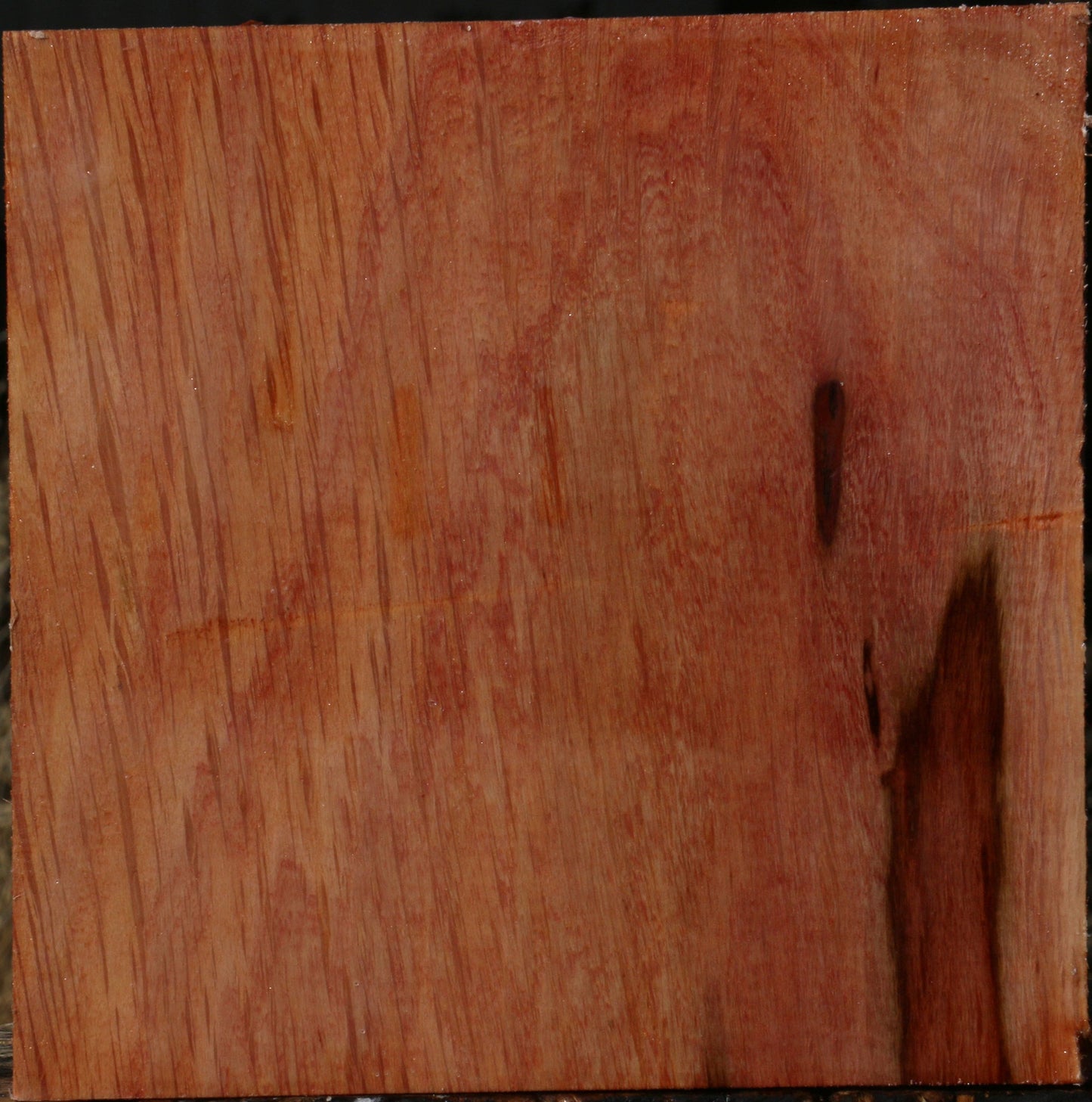 Figured Beefwood Bowl Blank