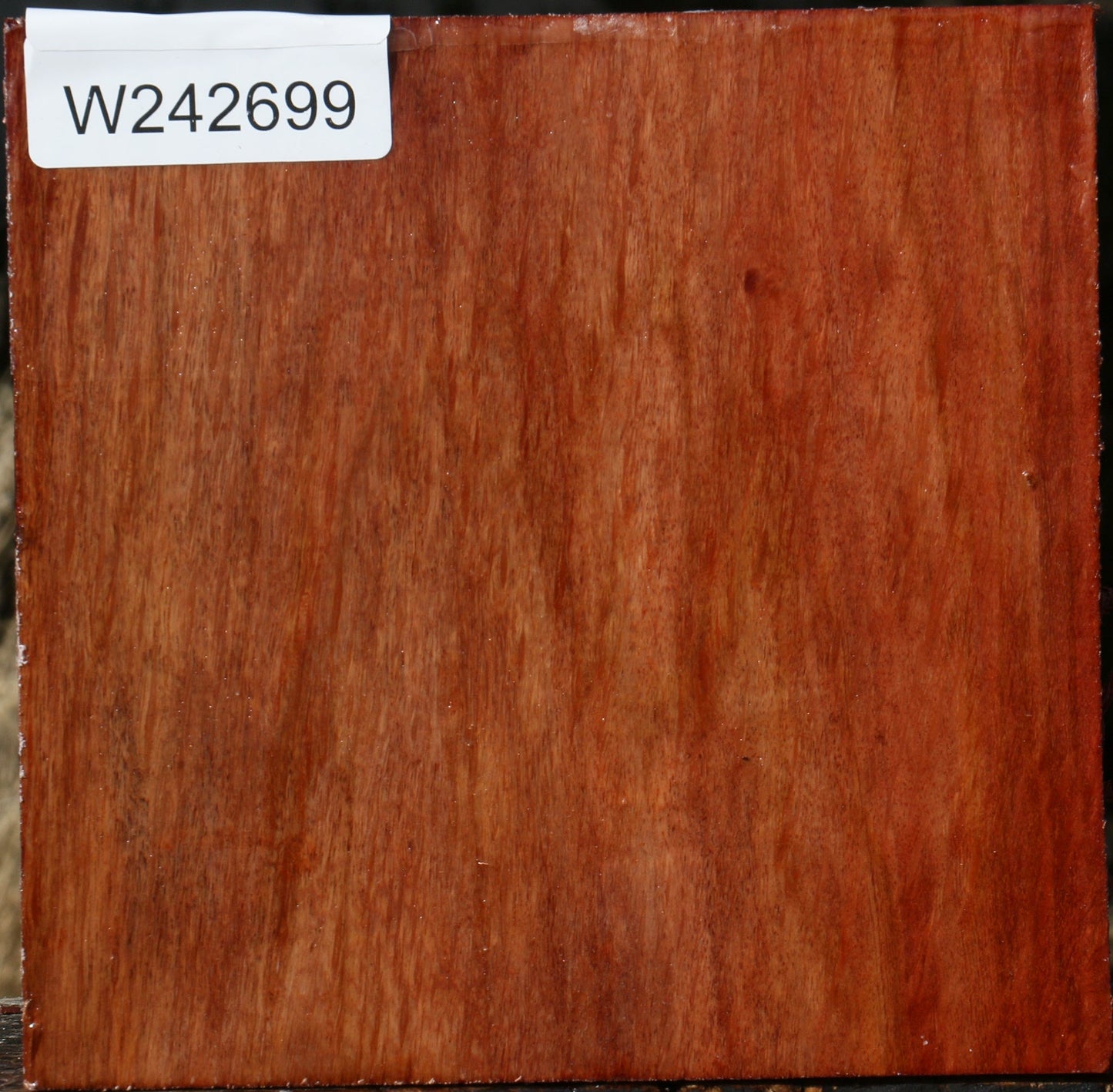 Figured Beefwood Bowl Blank