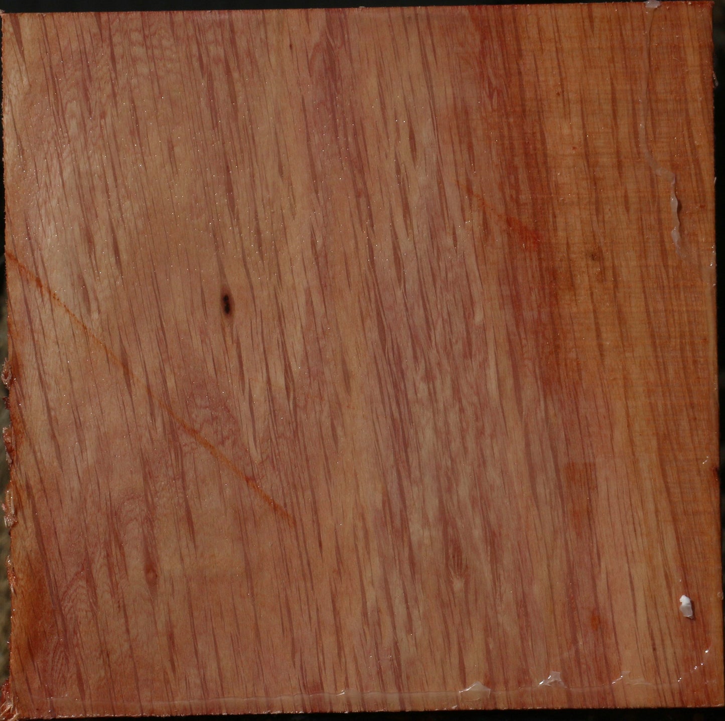 Figured Beefwood Bowl Blank