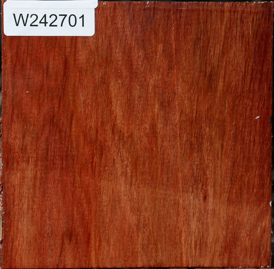 Figured Beefwood Bowl Blank