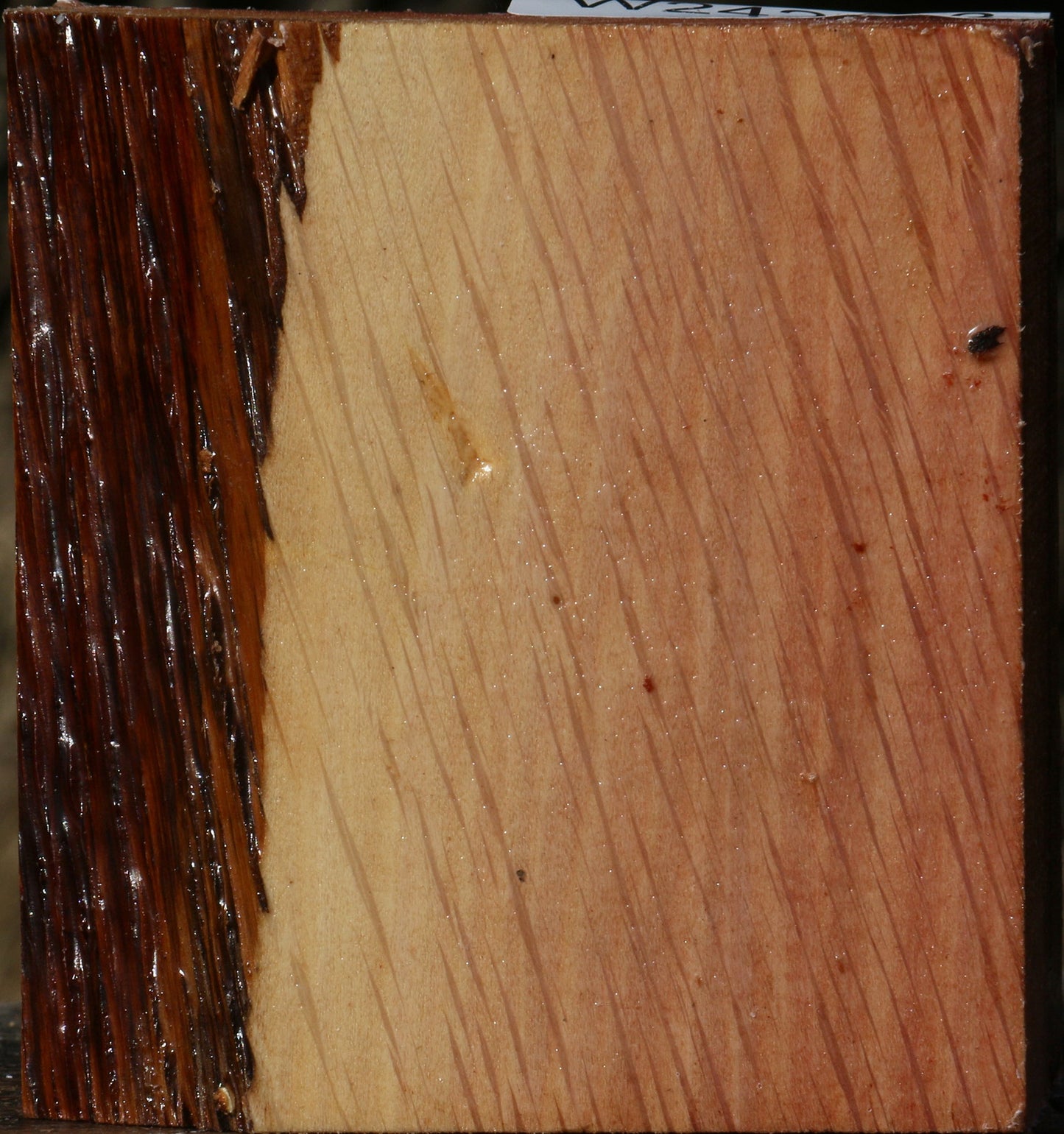 Extra Fancy Beefwood Bowl Blank