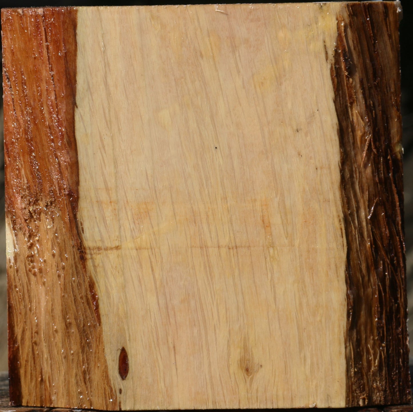 Figured Beefwood Bowl Blank