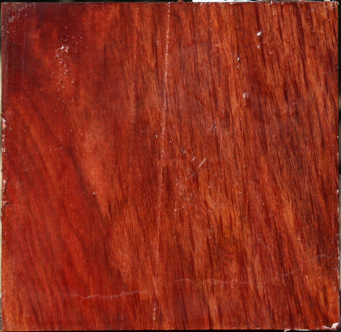 Figured Beefwood Bowl Blank