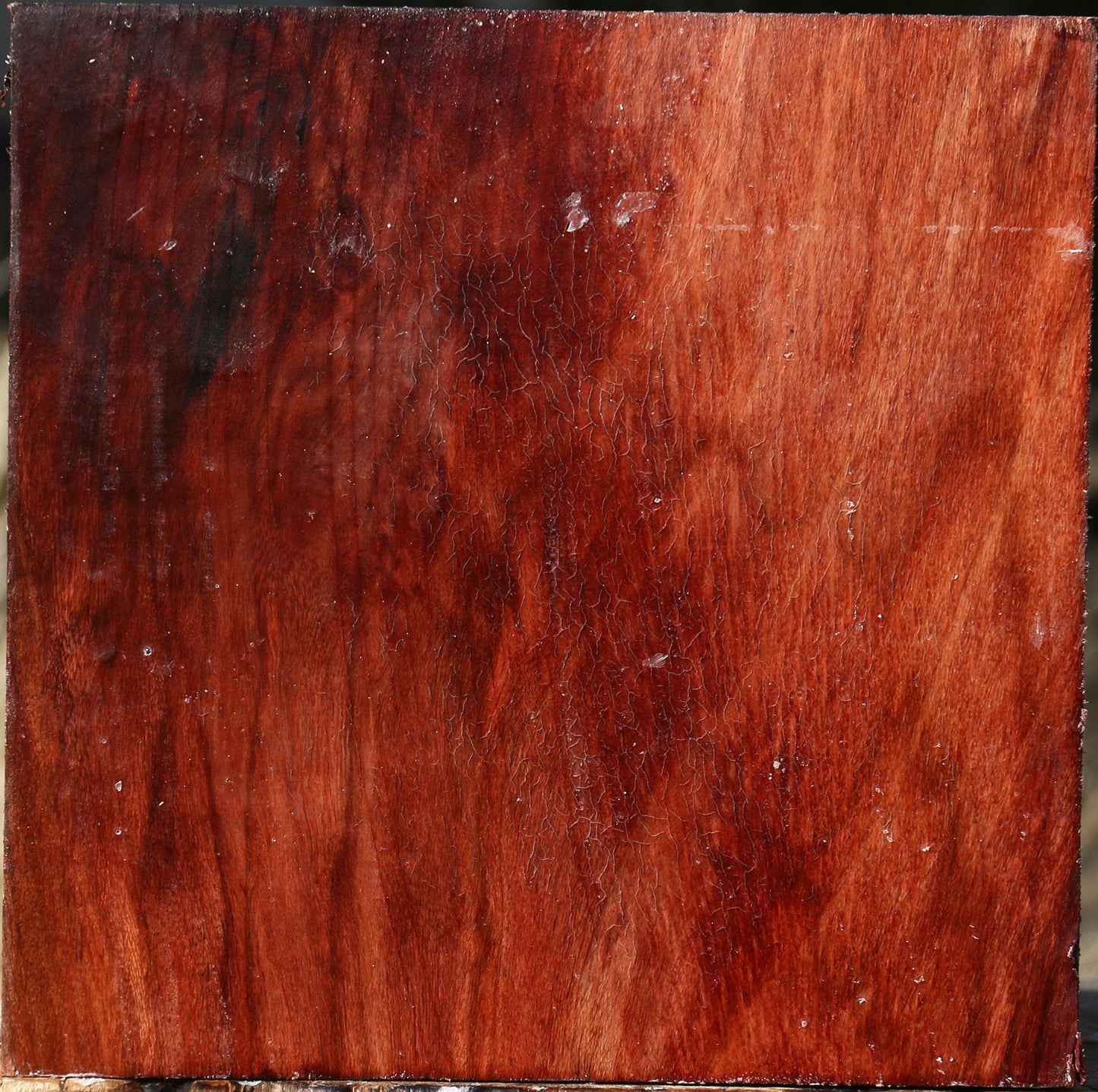 Figured Beefwood Bowl Blank