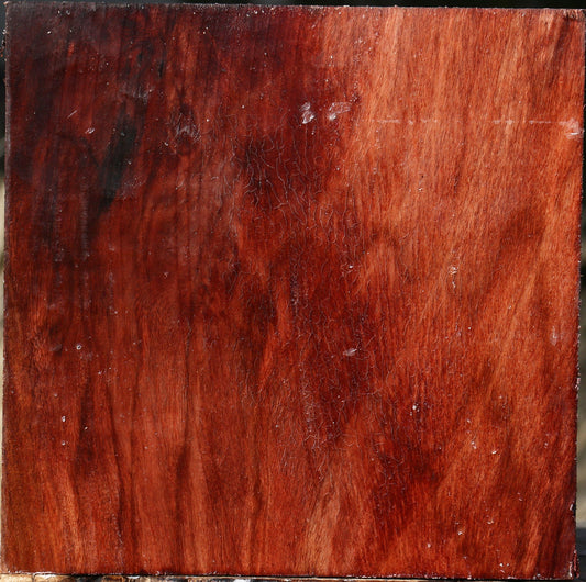 Figured Beefwood Bowl Blank