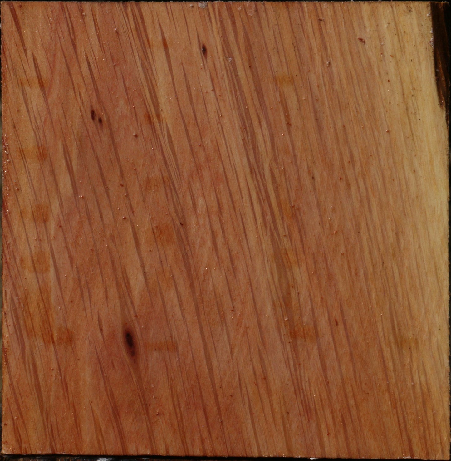 Figured Beefwood Bowl Blank