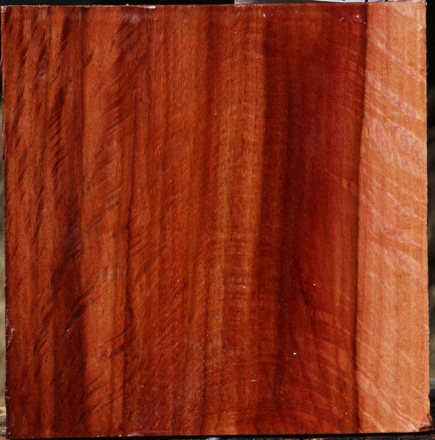 Extra Fancy Beefwood Bowl Blank