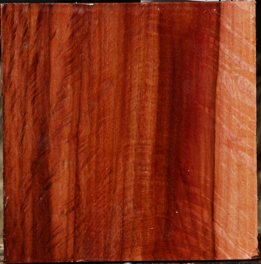 Extra Fancy Beefwood Bowl Blank