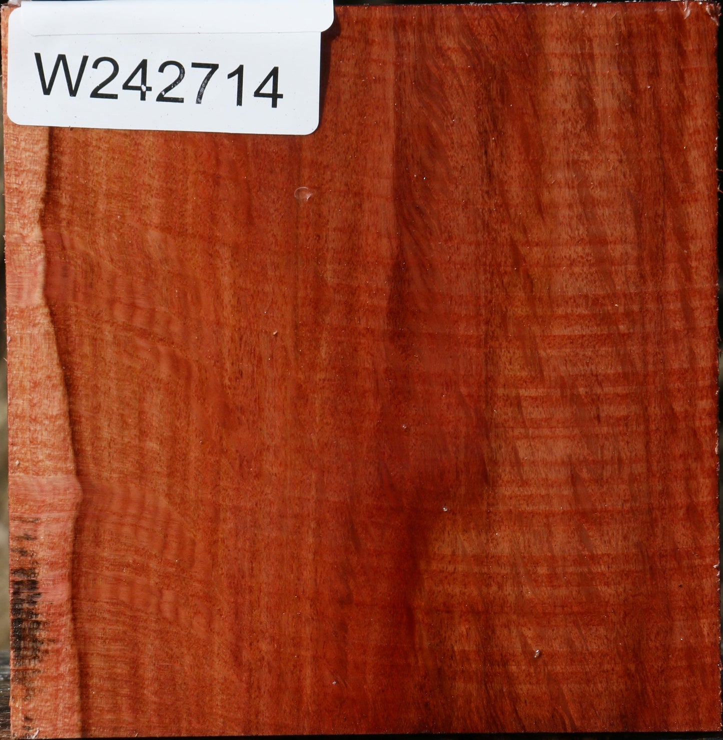 Extra Fancy Beefwood Bowl Blank