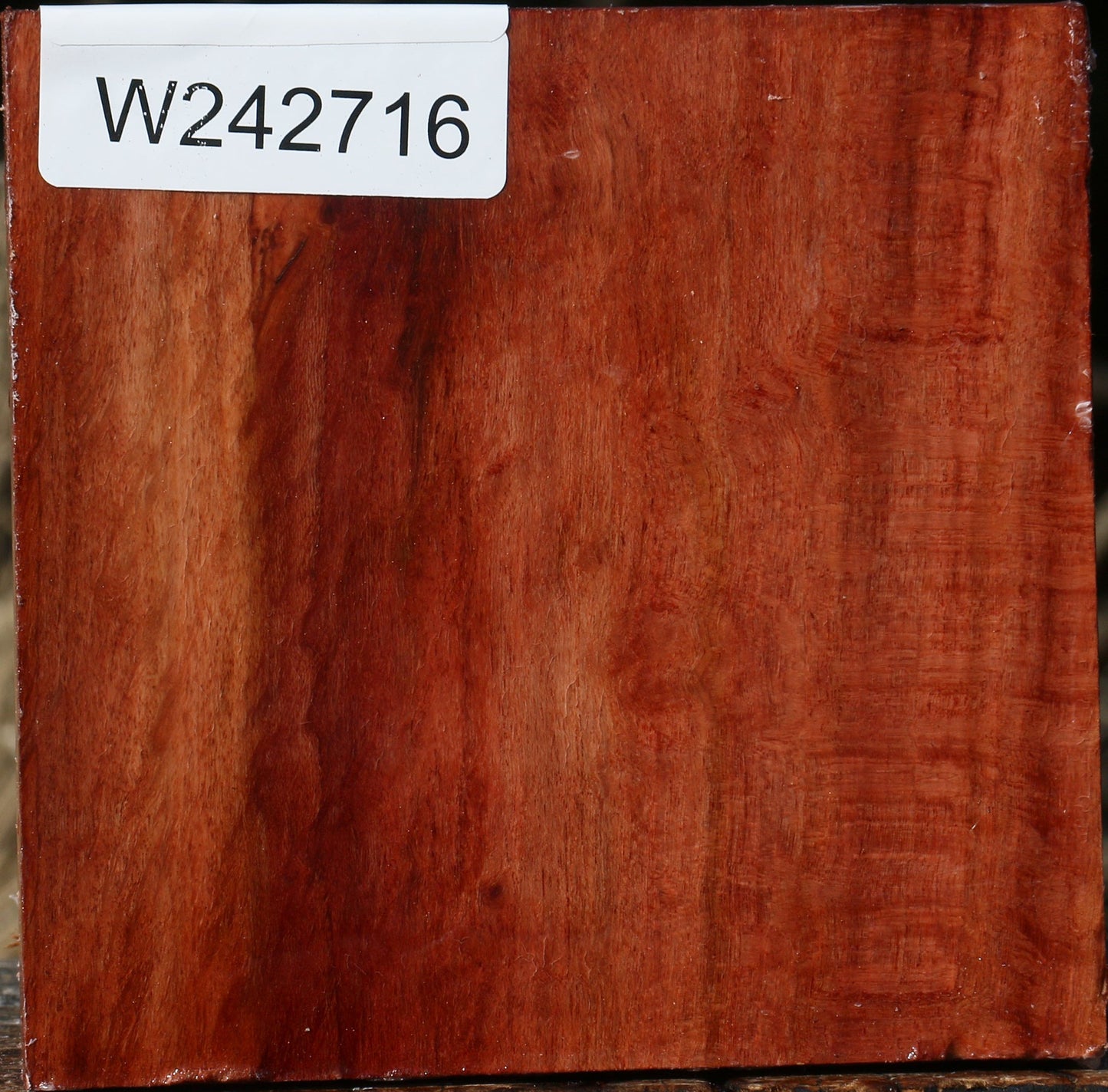 Extra Fancy Beefwood Bowl Blank