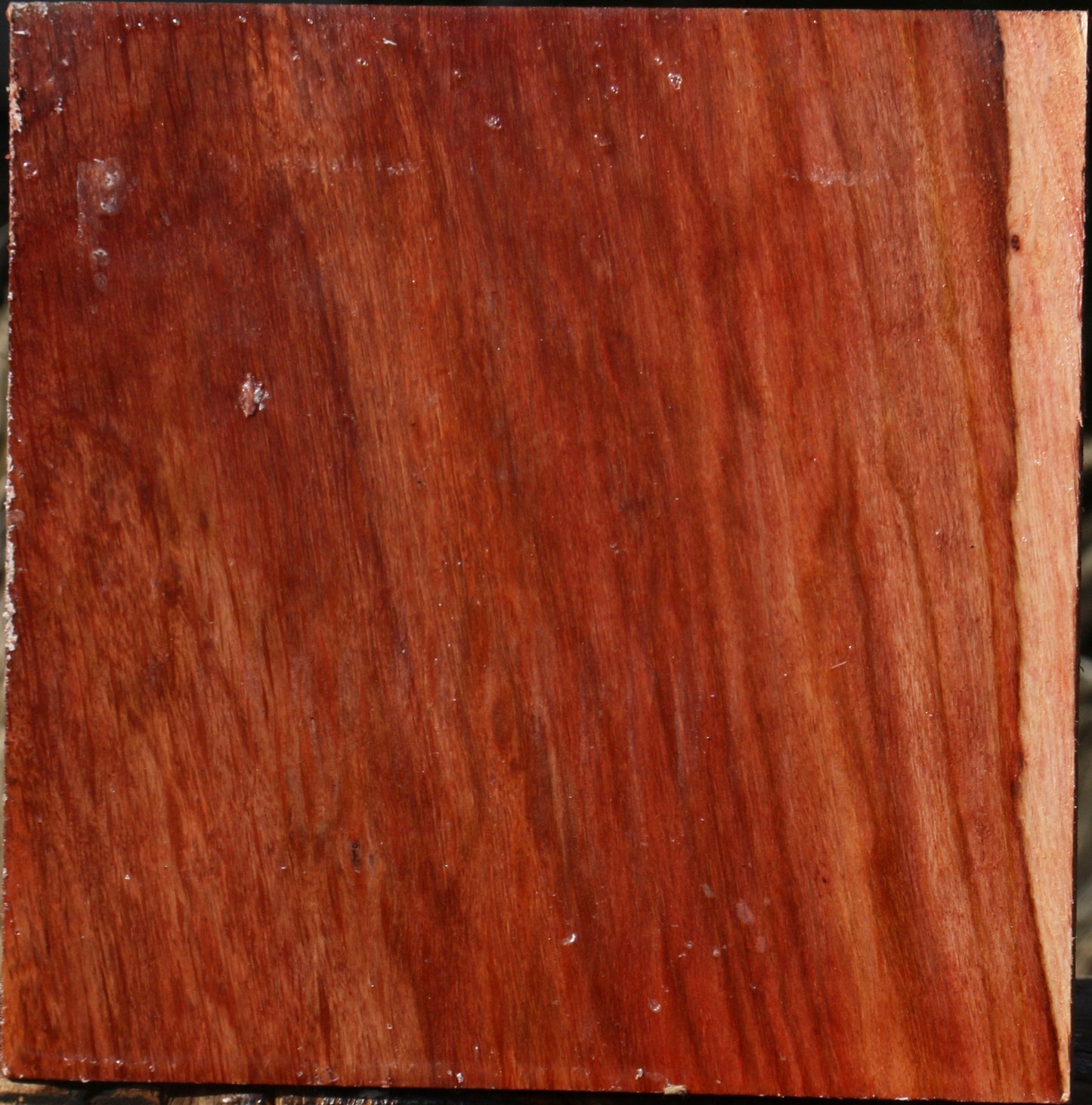 Extra Fancy Beefwood Bowl Blank